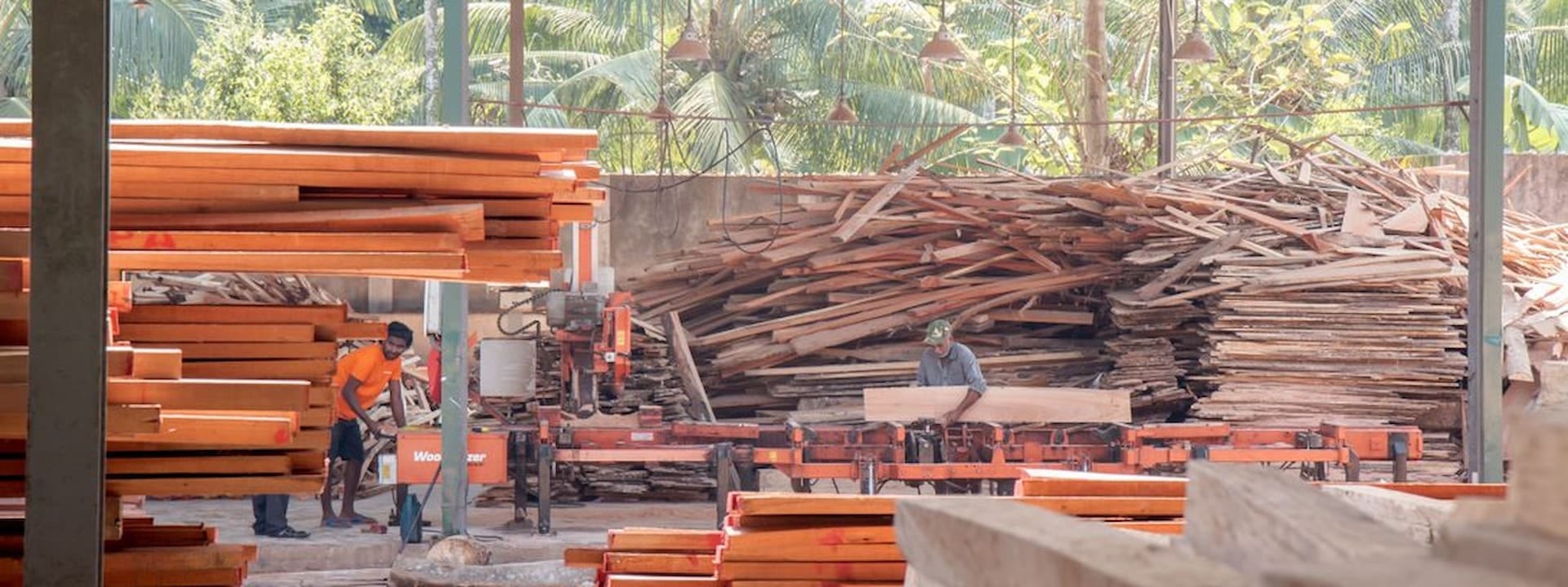 Sri Lankan Timber Yard Busy with Domestic Orders