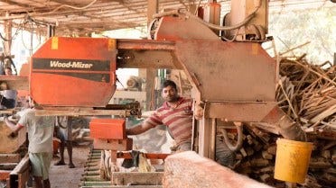 Sri Lankan Sawmill Growing with 8 Wood-Mizer Sawmills