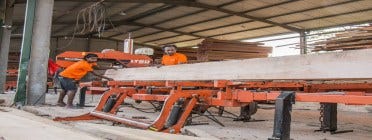 Sri Lankan Timber Yard Busy with Domestic Orders
